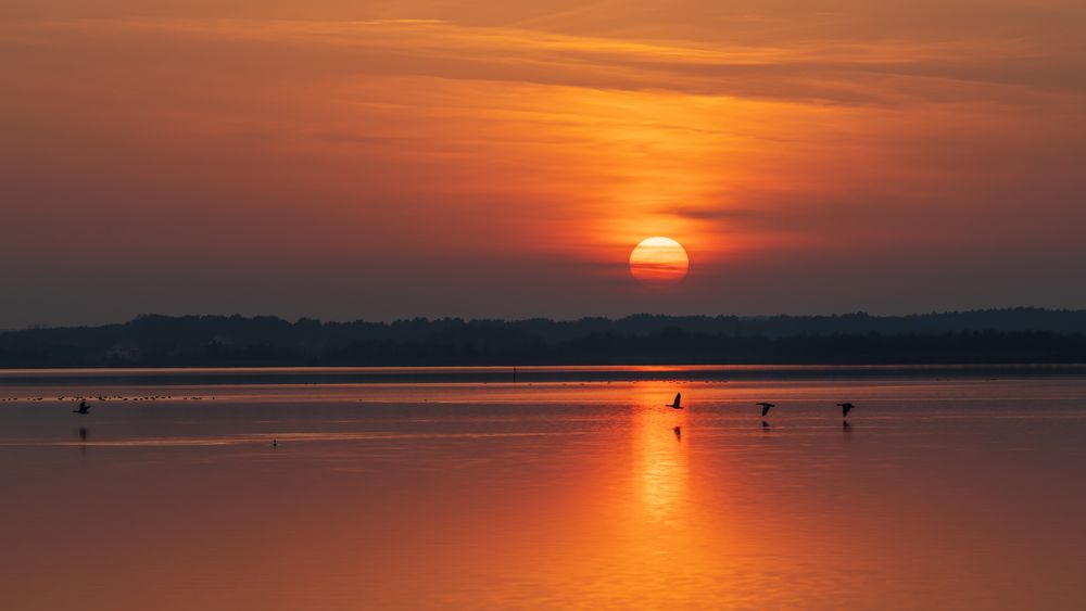 Abendlicher Ausklang