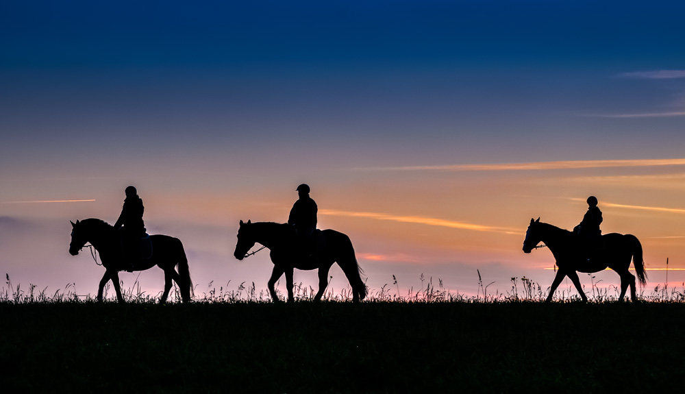 Abendlicher Ausritt