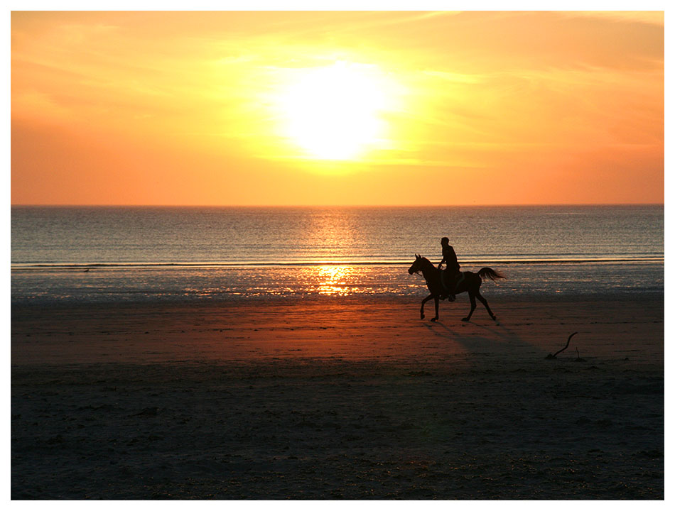 Abendlicher Ausritt am Strand