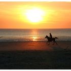 Abendlicher Ausritt am Strand