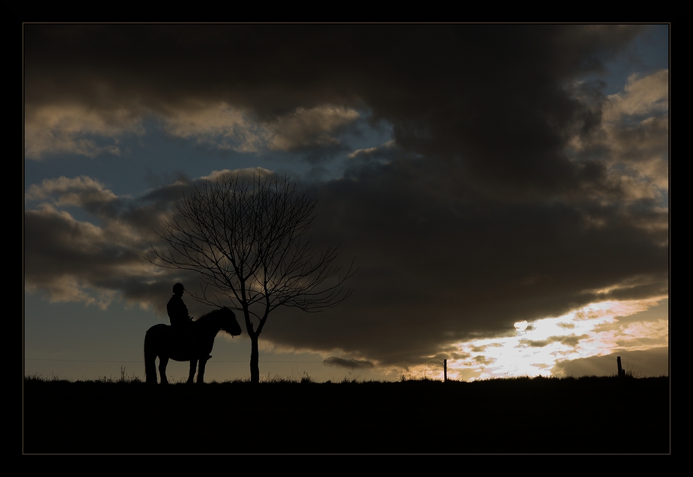 abendlicher Ausritt