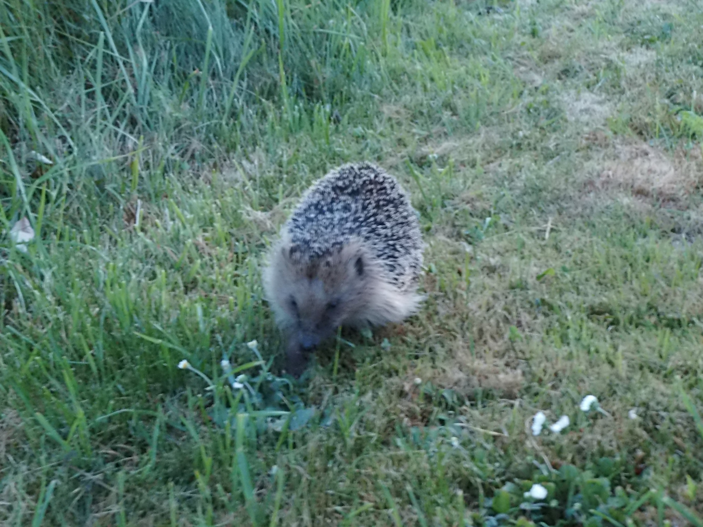 abendlicher Besuch