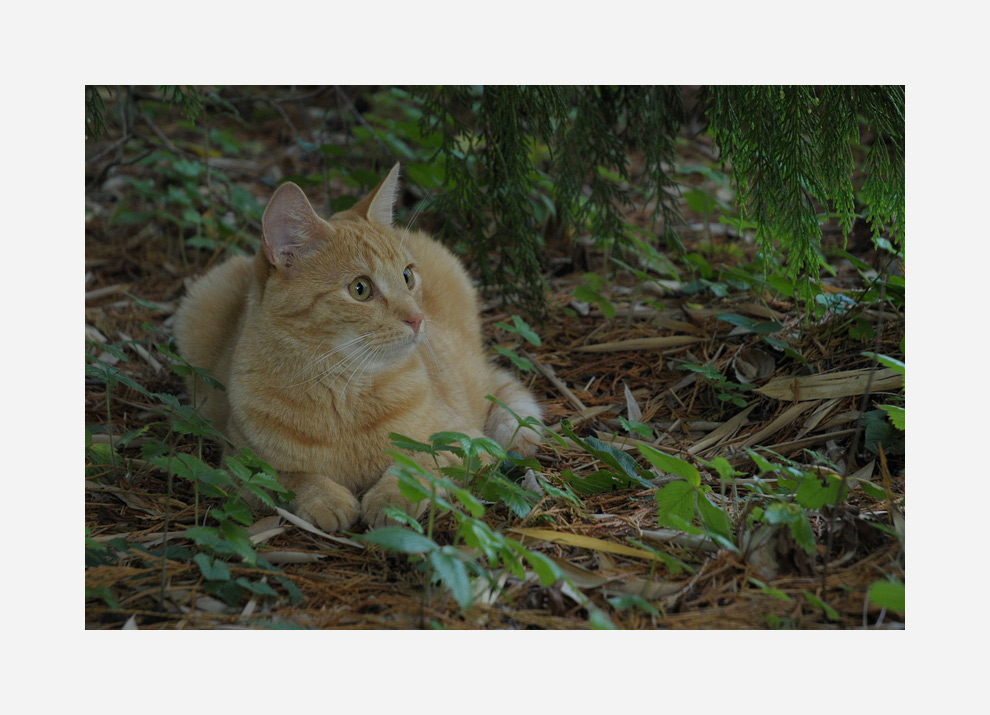 Abendlicher Besuch von einer Nachbarin