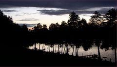 Abendlicher Blick auf den Holzöstersee