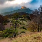 Abendlicher Blick auf die Burg im November