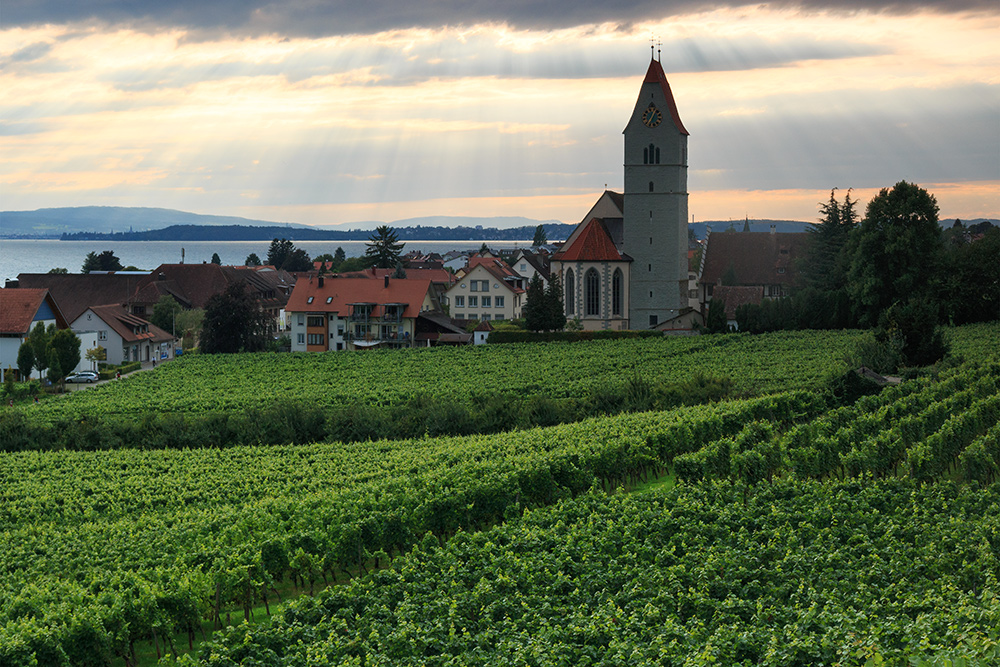 Abendlicher Blick auf Hagnau