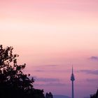 Abendlicher Blick aus einem Oberasbacher Dachfenster