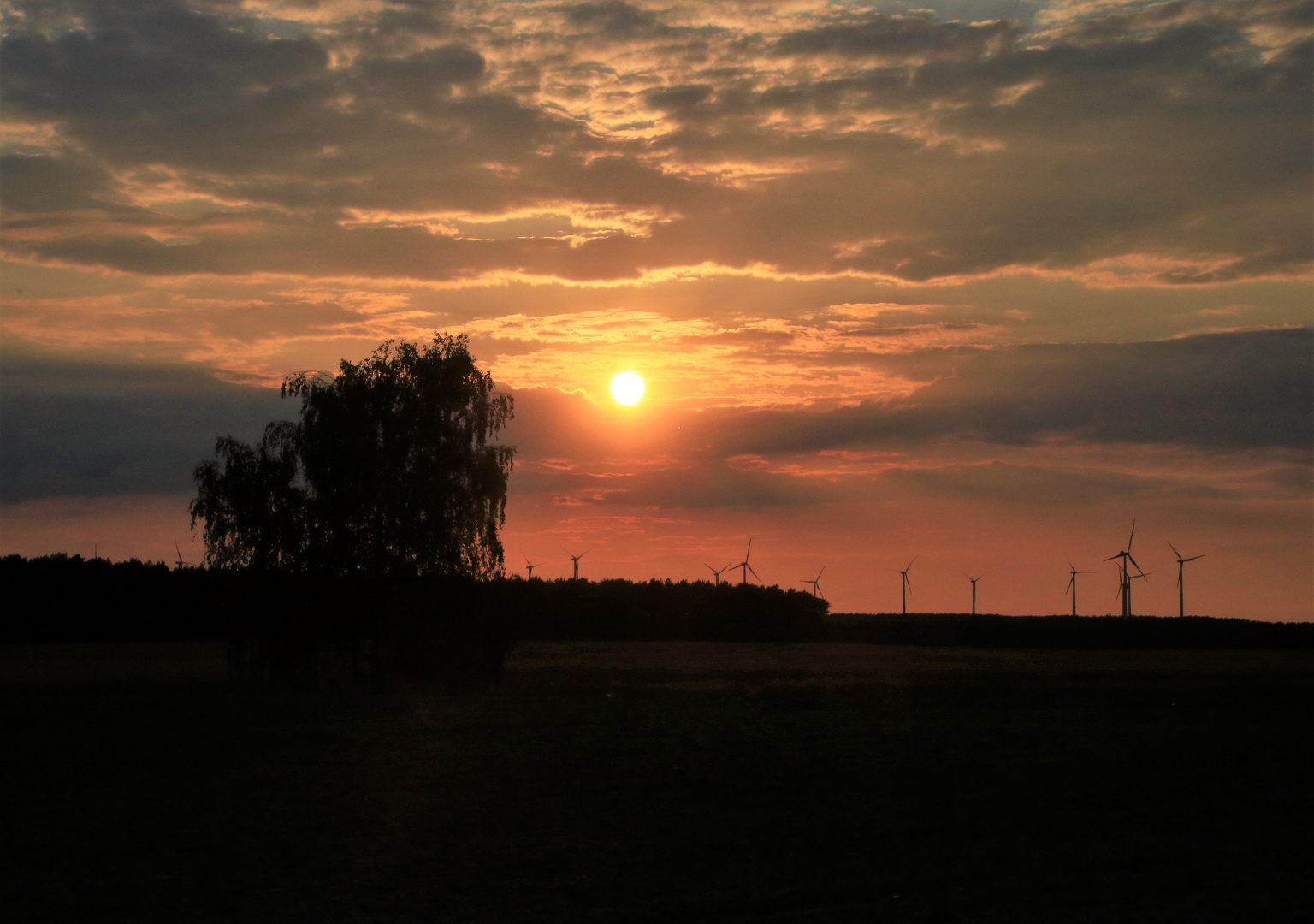 Abendlicher Blick über das Feld