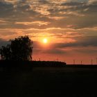 Abendlicher Blick über das Feld