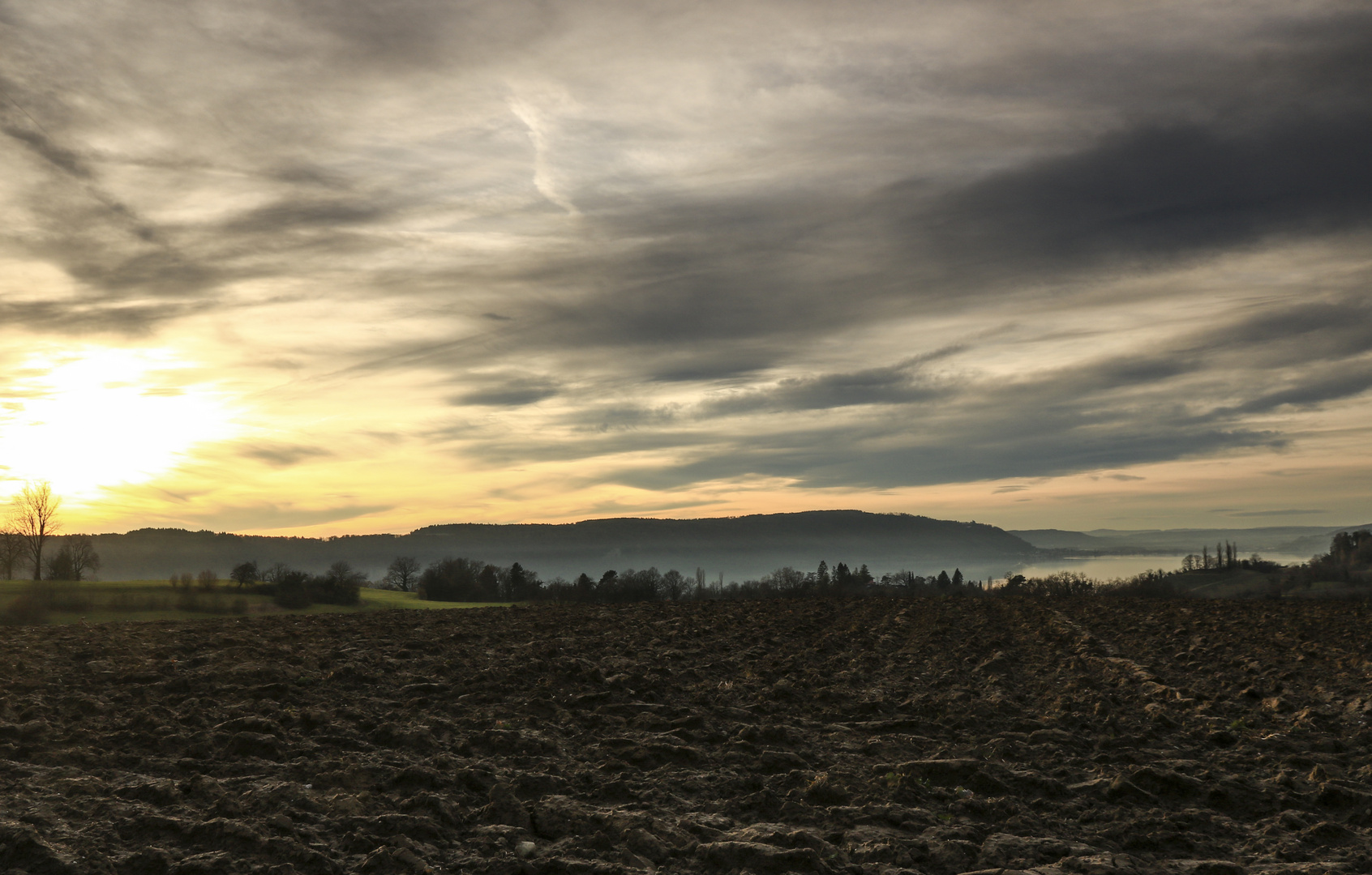 Abendlicher Blick über die Felder