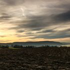 Abendlicher Blick über die Felder