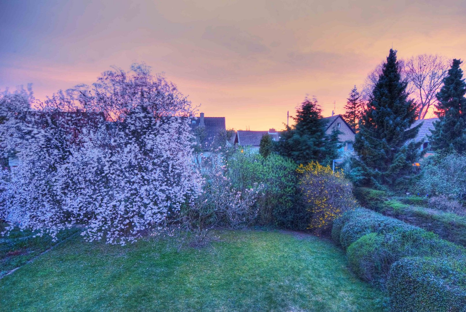 Abendlicher Blick vom Balkon