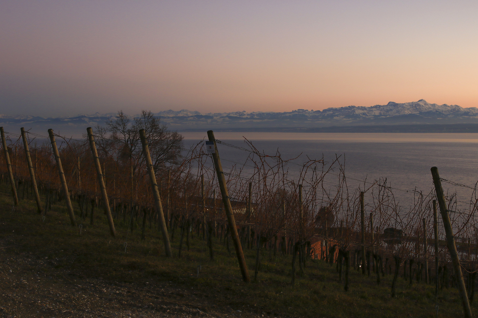 Abendlicher Blick zu den Alpen