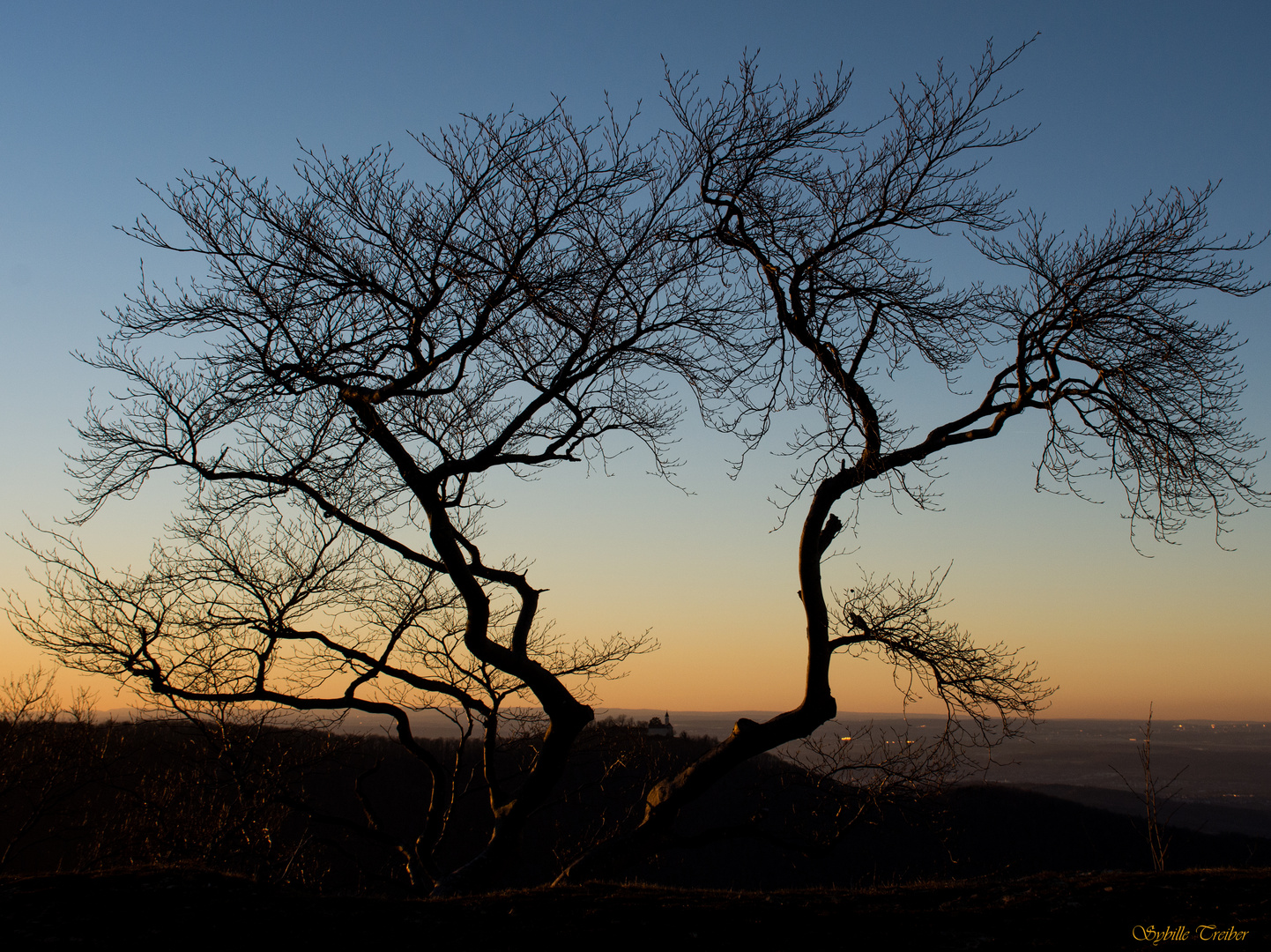 Abendlicher Blick zur Teck