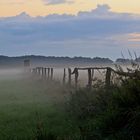 Abendlicher Bodennebel