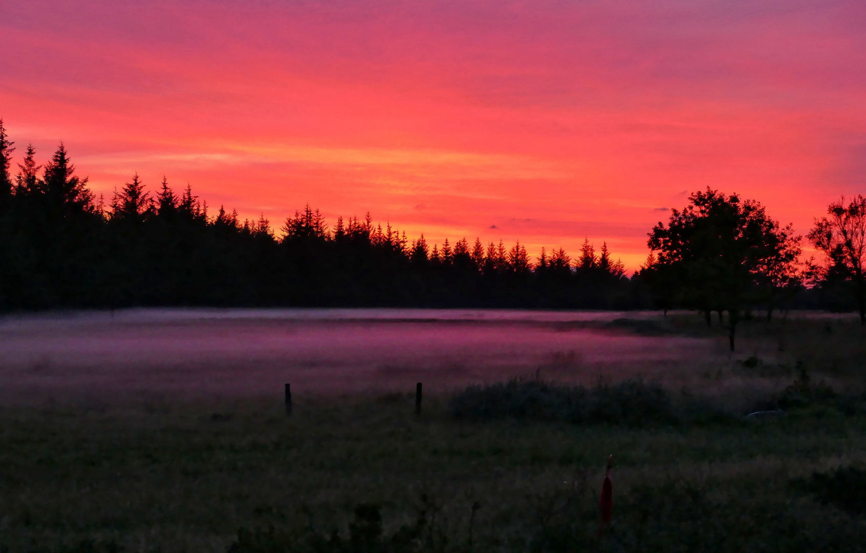 Abendlicher Bodennebel