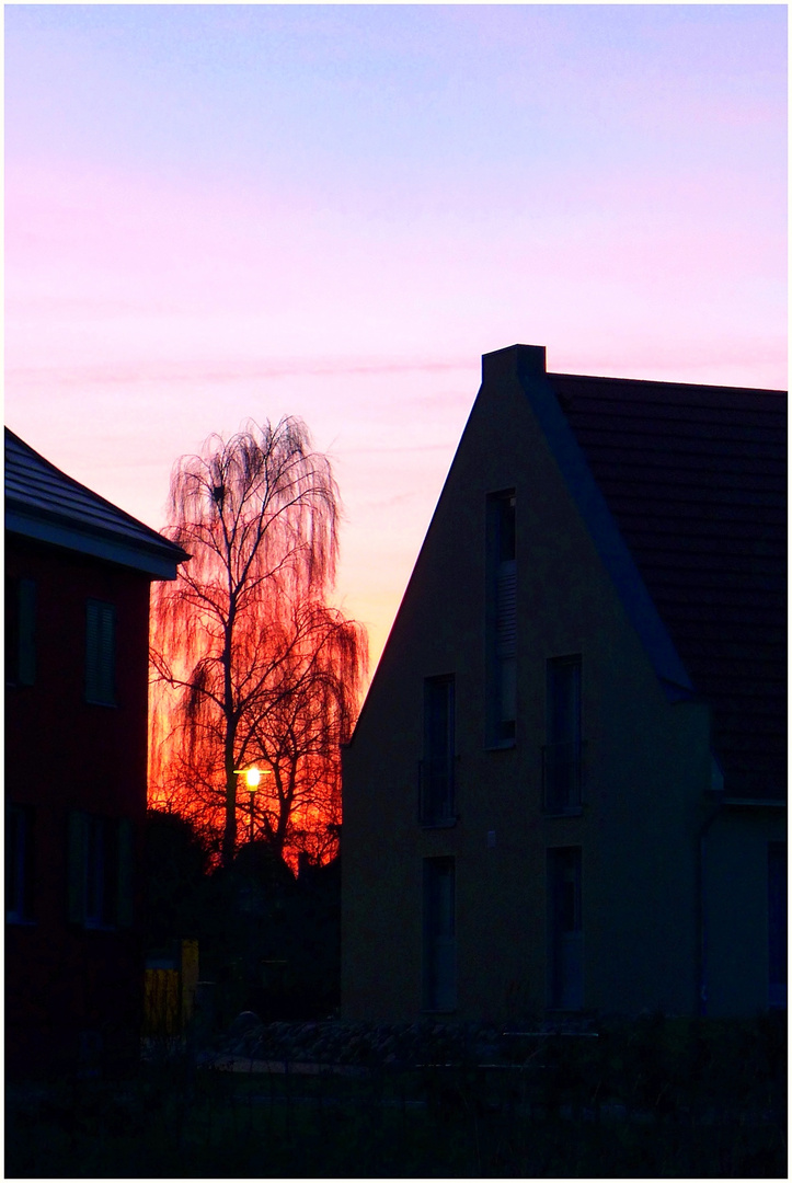 Abendlicher Durchblick