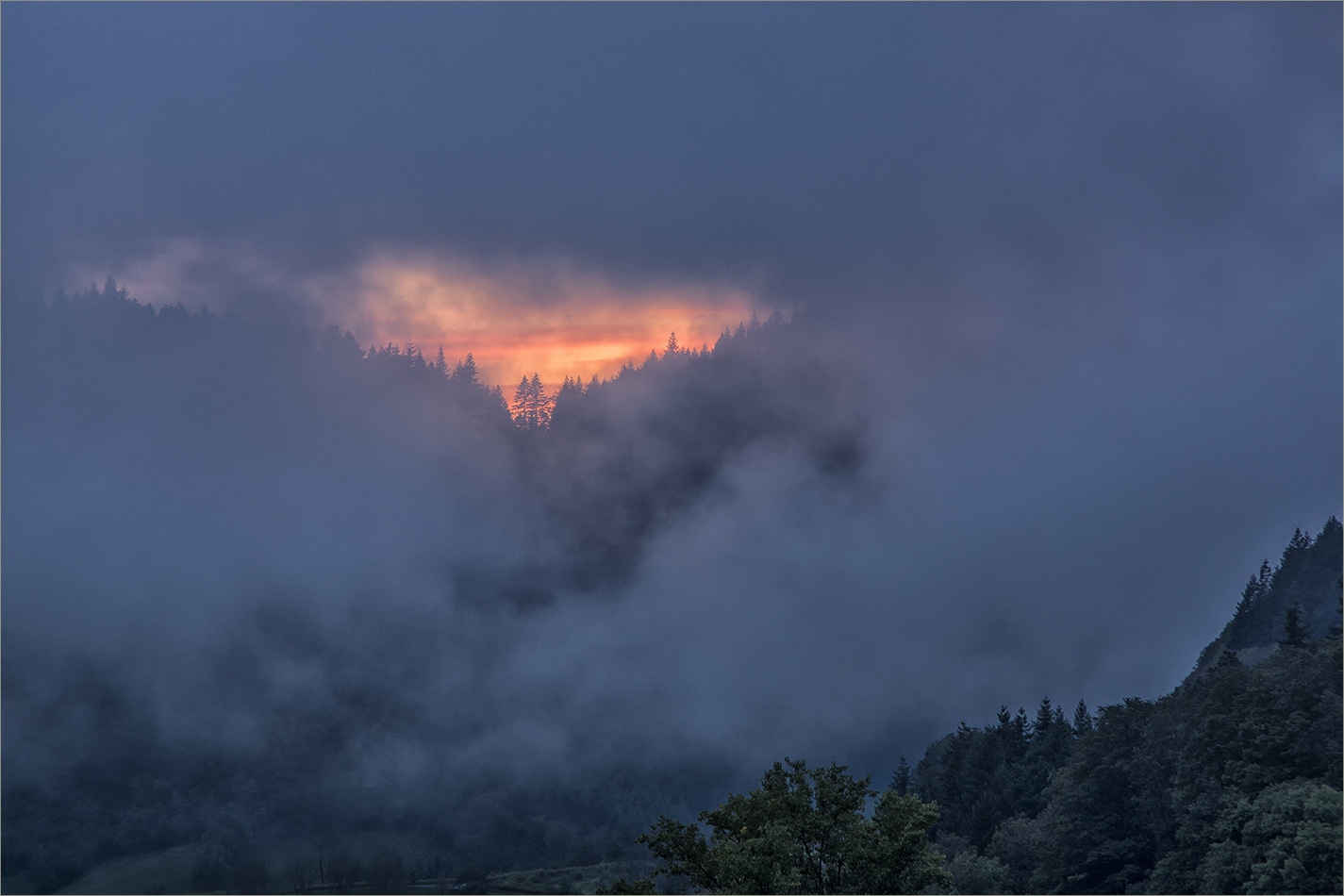 abendlicher durchblick