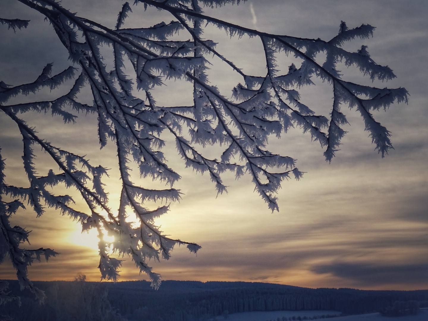 abendlicher Durchblick 