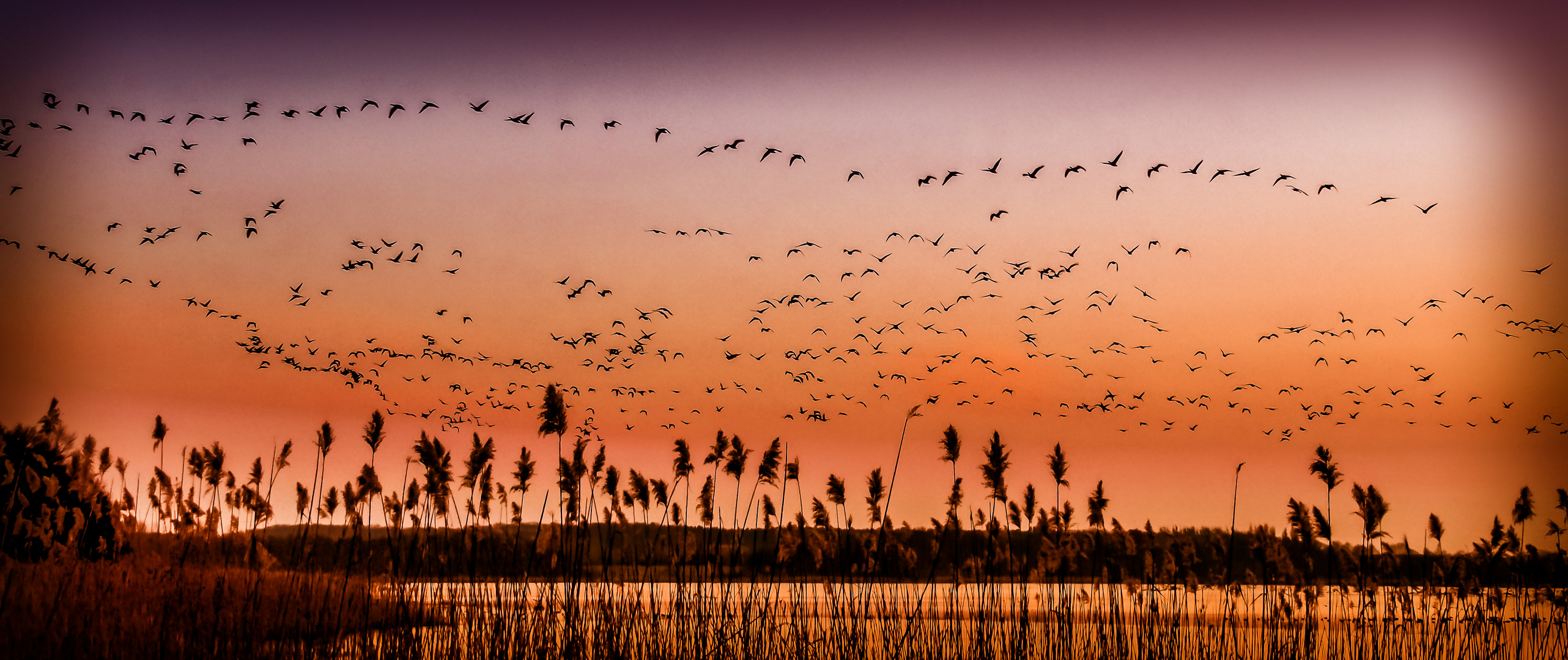 Abendlicher Einflug