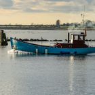 Abendlicher Fischzug auf Burg Fehmarn.