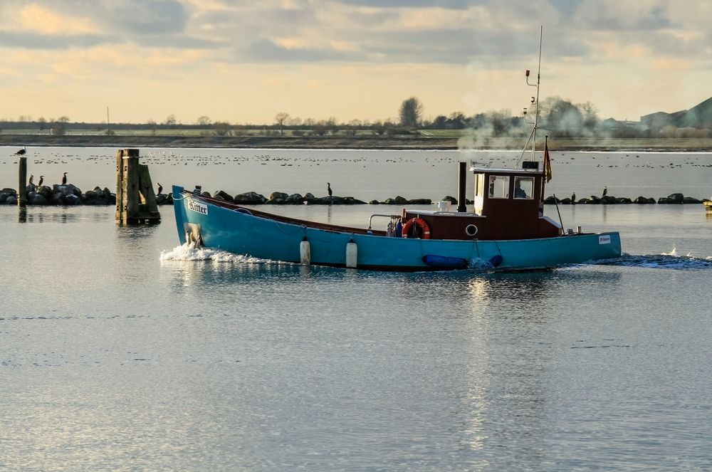 Abendlicher Fischzug auf Burg Fehmarn.