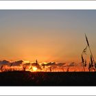 Abendlicher Horizont in Ostfriesland