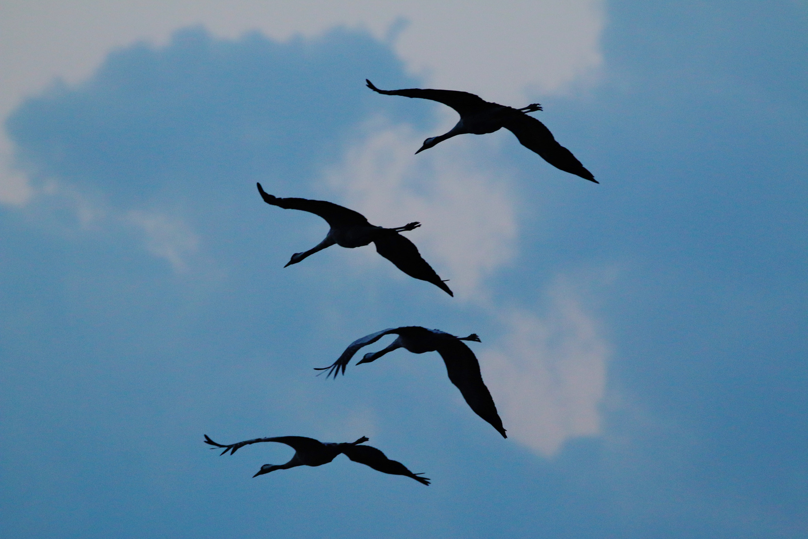 Abendlicher Landeanflug