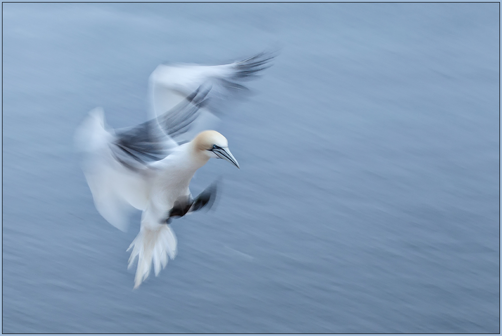 Abendlicher Landeanflug