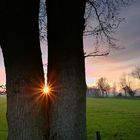 Abendlicher Lichtblick am Niederrhein