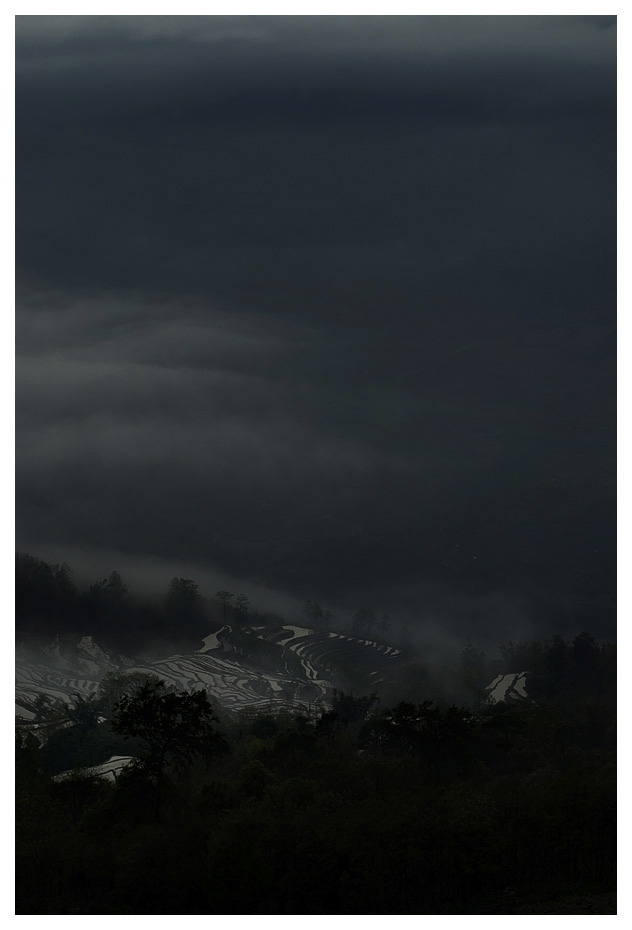 Abendlicher Nebel in den Reisterrassen