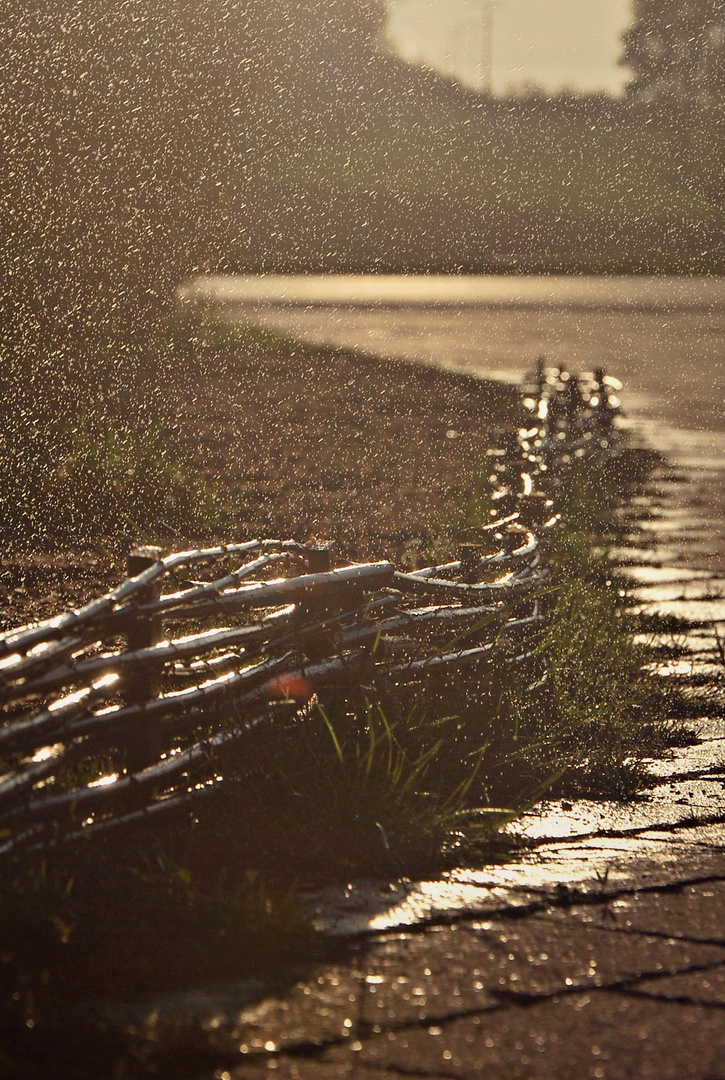 abendlicher Regen