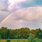 abendlicher Regenbogen 