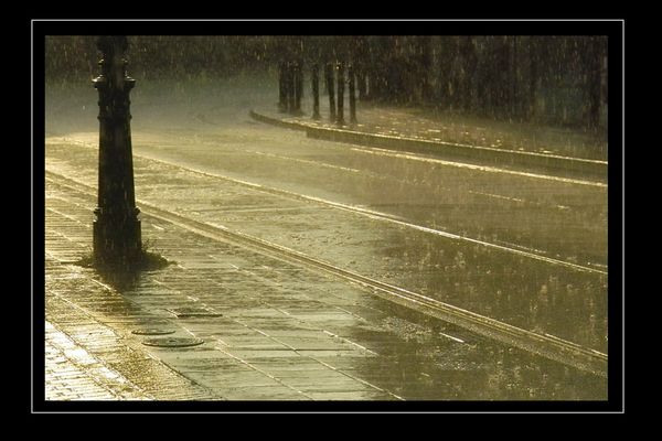 Abendlicher Regenschauer.