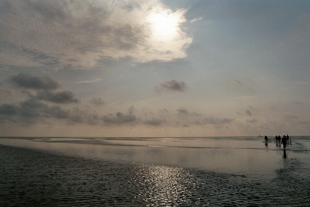 Abendlicher Rückmarsch von der Sandbank