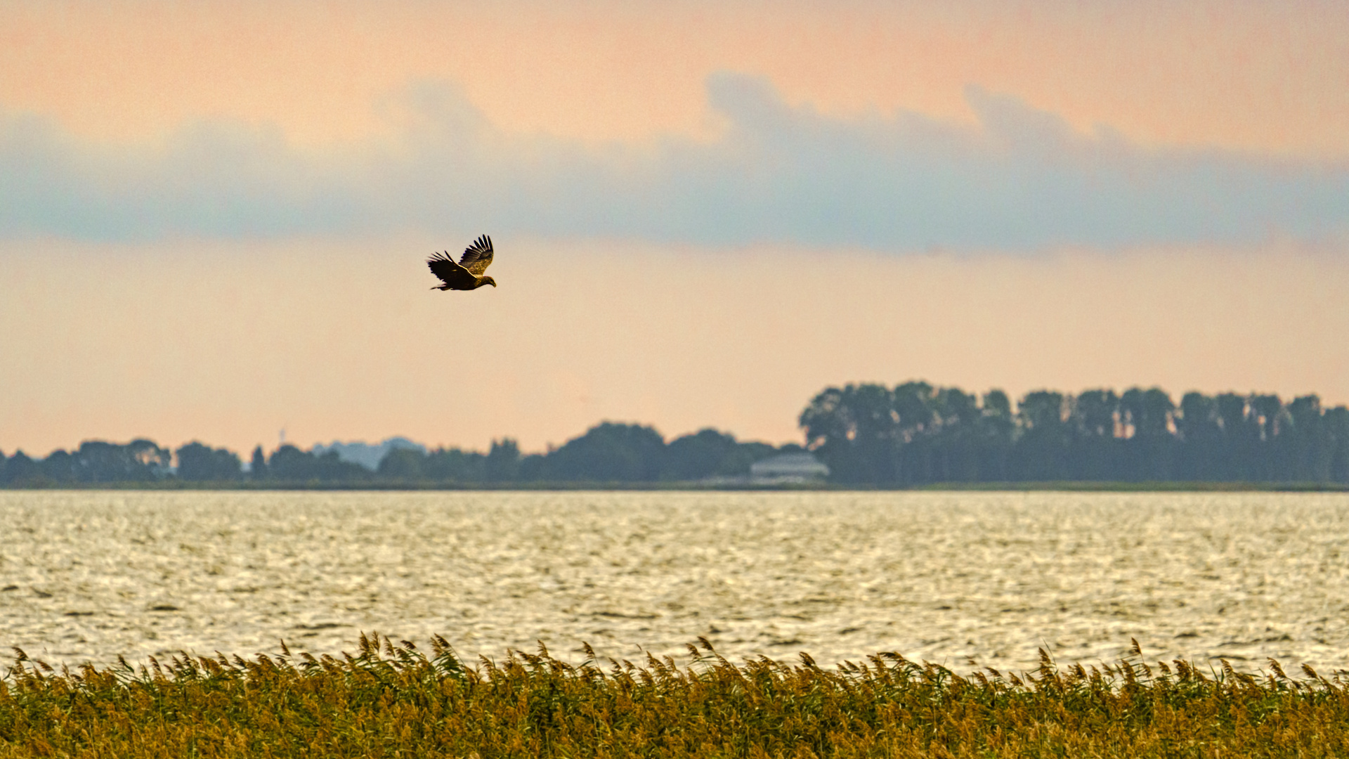 Abendlicher Rundflug uber dem Darß, 2020.09.16.