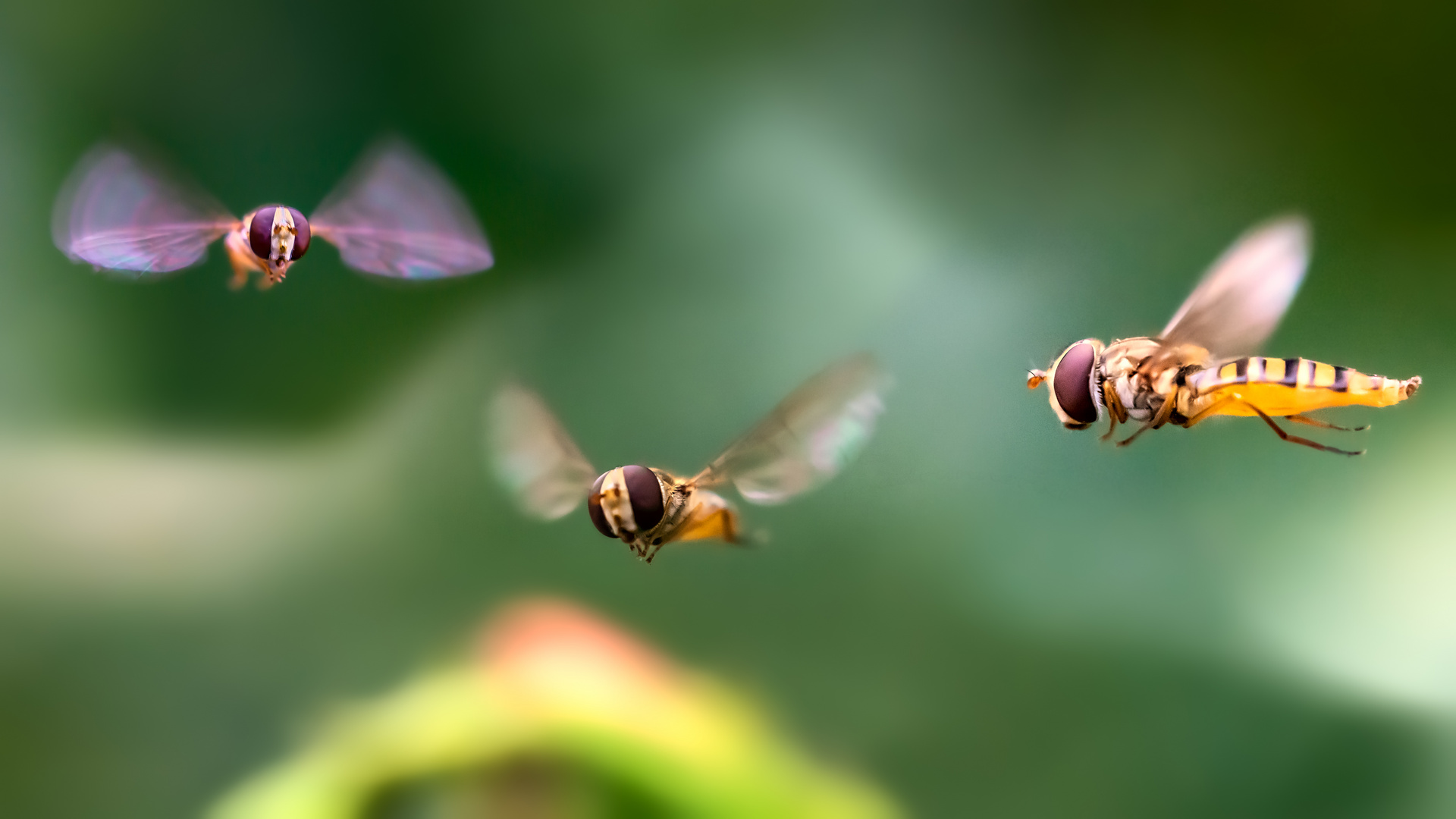 abendlicher Schwebi-Smalltalk ;-)