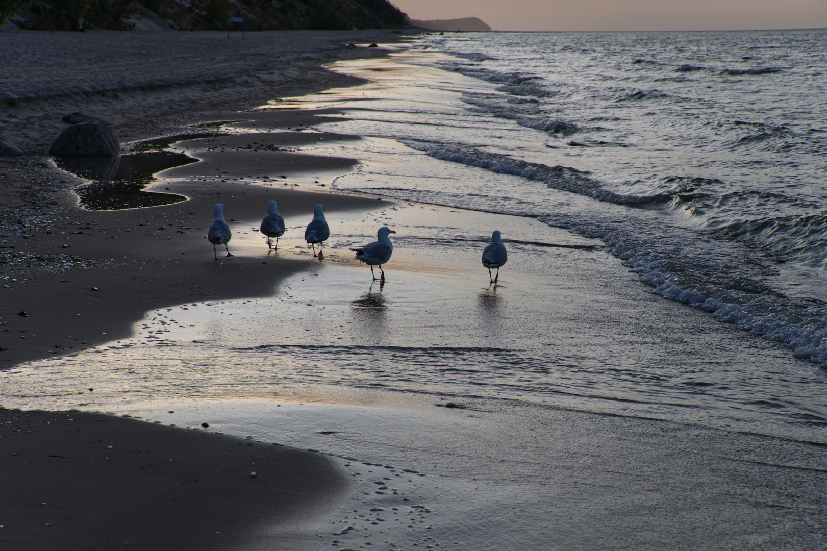 abendlicher Spaziergang