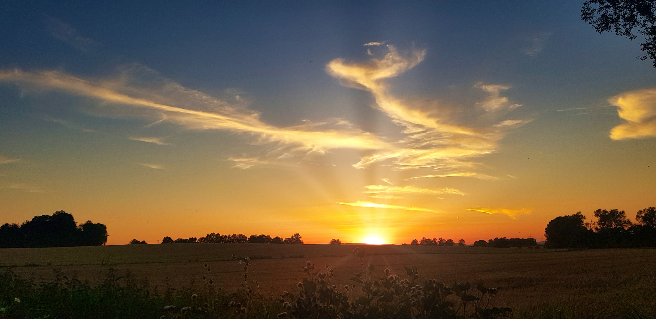 Abendlicher Spaziergang