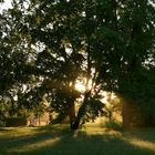 Abendlicher Spaziergang