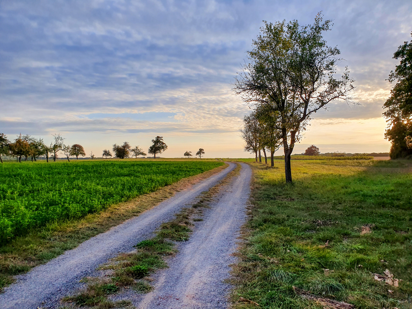 Abendlicher Spaziergang entlang der Felder