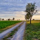 Abendlicher Spaziergang entlang der Felder