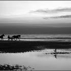 Abendlicher Strandspaziergang