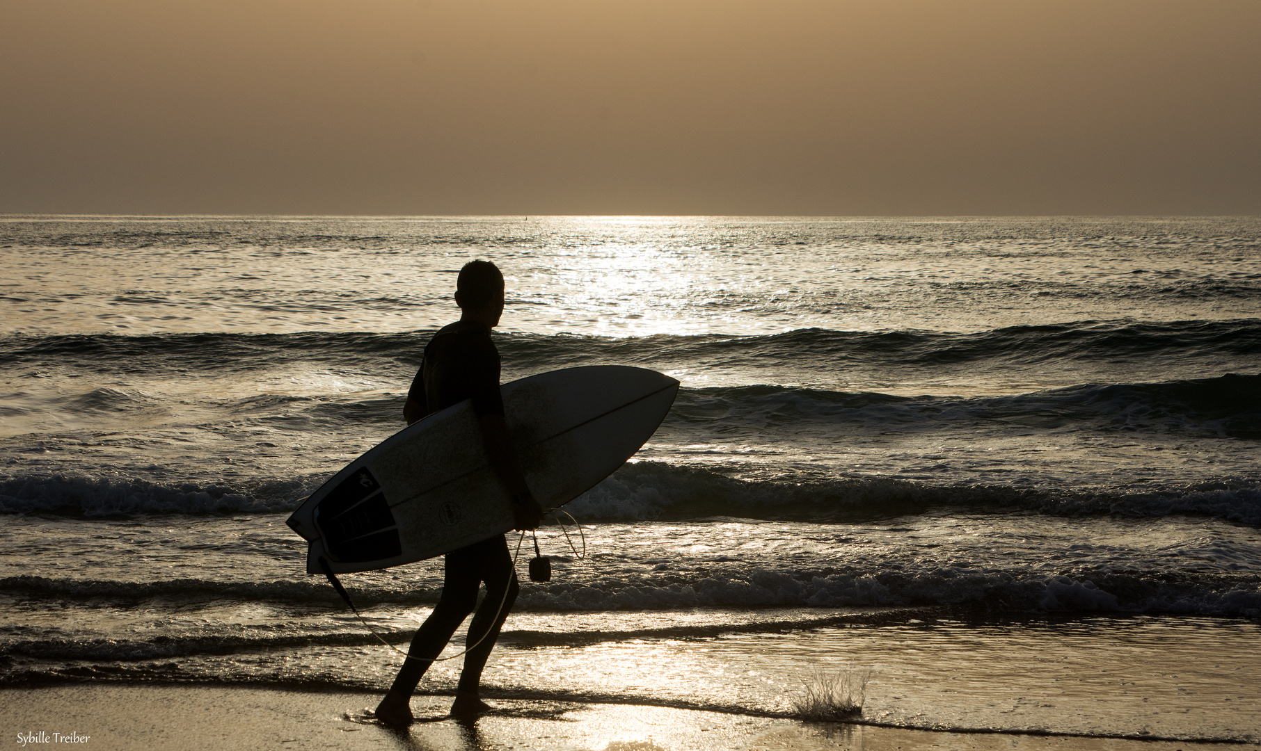 Abendlicher Surfer