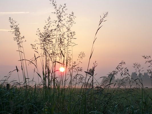 Abendlicher Traum am Himmel
