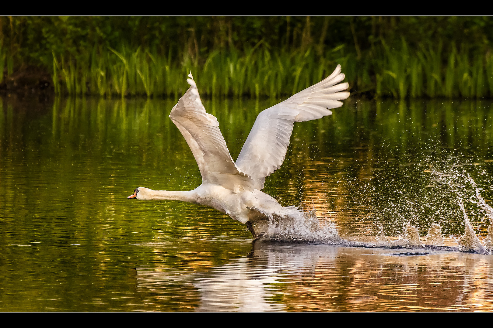 Abendlicher Wasserstart