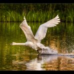 Abendlicher Wasserstart