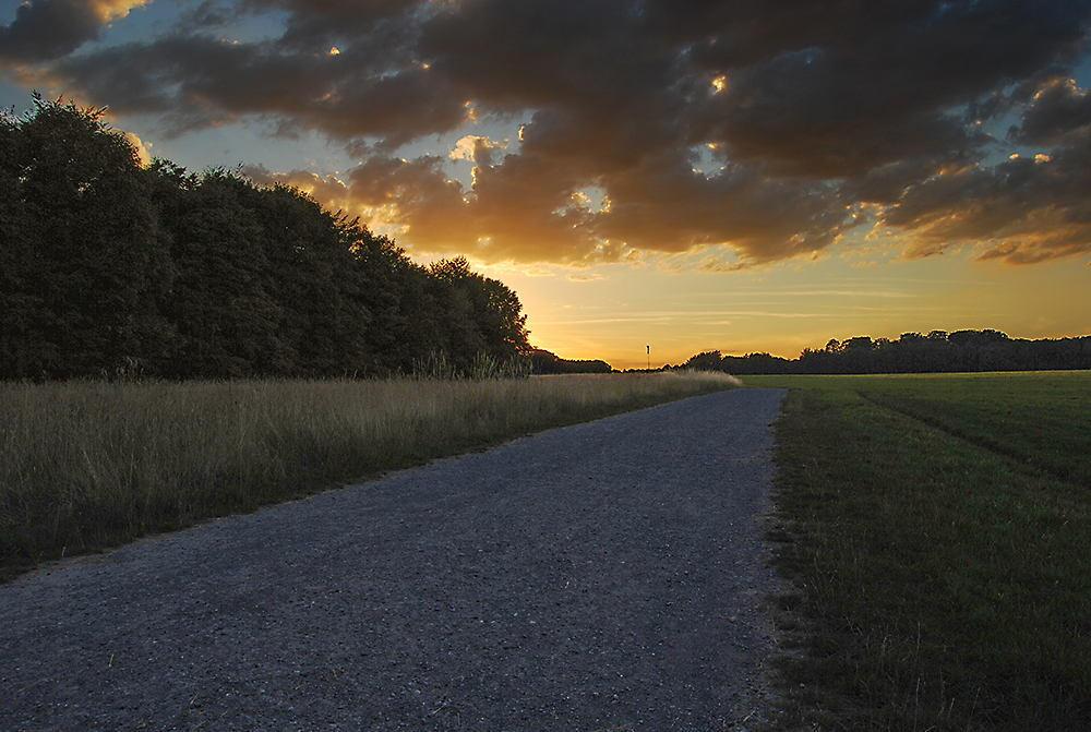 abendlicher Weg