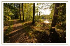 Abendlicher Weg am See