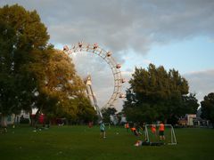 Abendlicher Wiesenbolz vor dem Prater-Riesenrad